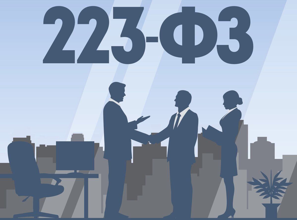 Может ли по 223-ФЗ жаловаться на документацию тот, кто не подал заявку?