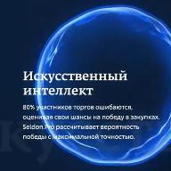 Презентация Seldon.Pro